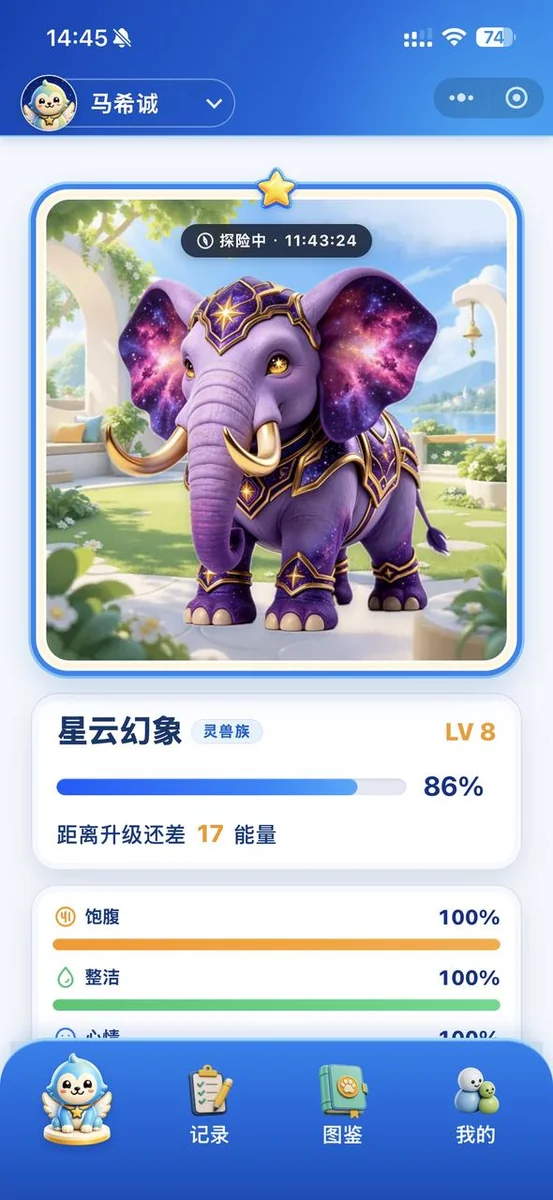 班宠家园小程序-首页界面2